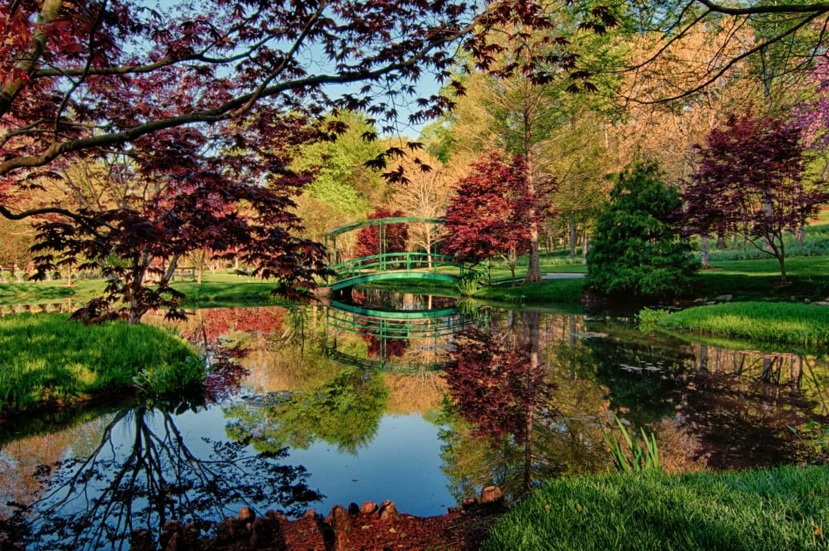 A garden bridge in Ball Ground, Georgia